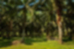 IMG_3163.jpeg