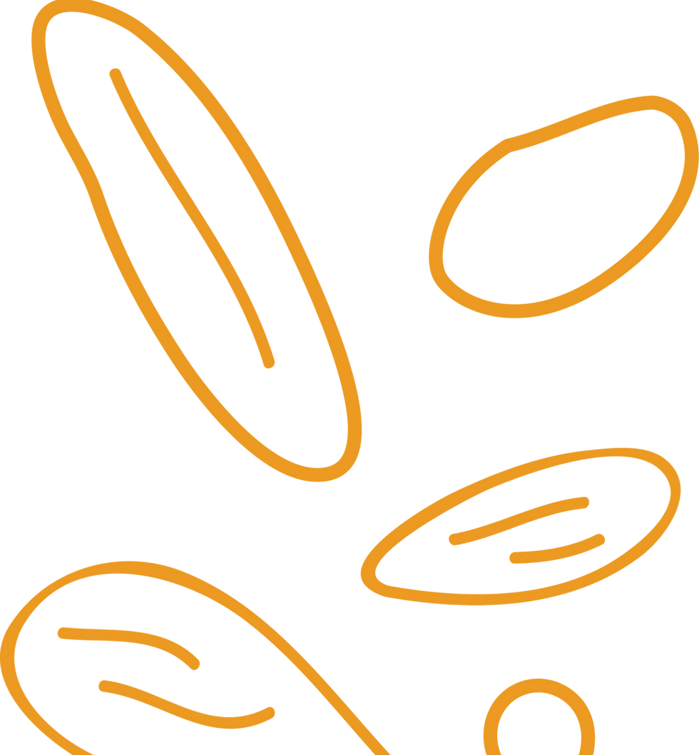 Grafismo_01.png