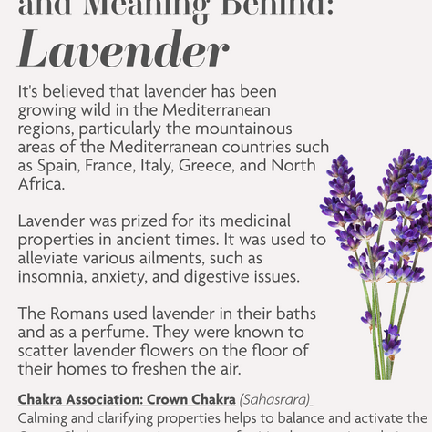 Exploring the Symbolism and Meaning behind Lavender Flowers