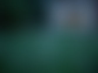 Why You Should Make Your Home Life a Priority