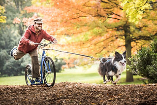 Canitrotinette, Trotinette de mushing
