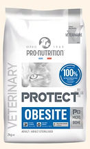 PRO Nutrition chat PROTECT Obesite foto_2_1.jpg