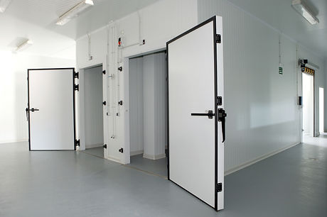 Two white walk-in freezers.jpg