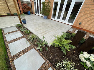 A range of plants in the garden