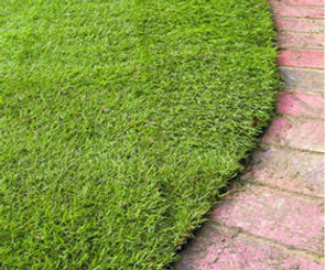 Curved lawn edge