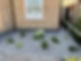 Gravel planter with young plants