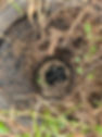 Blocked pipe, as seen from a pipe camera