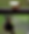 Screenshot 2025-07-16 at 13.42.00.png