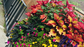 Parish Council Sets Budget for the Coming Year