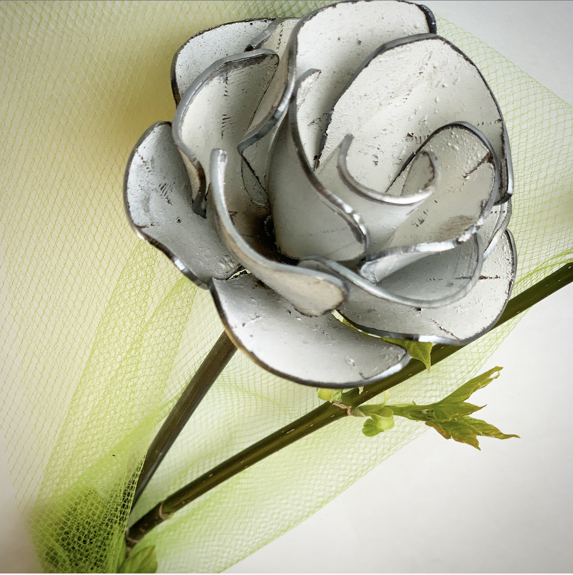 White Shabby Chic' Rose