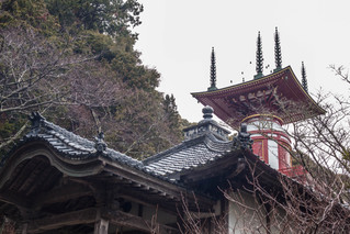 薬王寺でのテンプルステイ