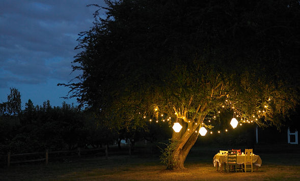 Dîner en plein air