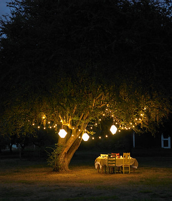 Outdoor Dinner