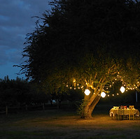 Outdoor Dinner