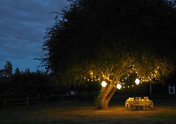 Outdoor Dinner