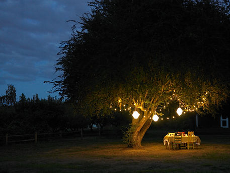 Outdoor Dinner