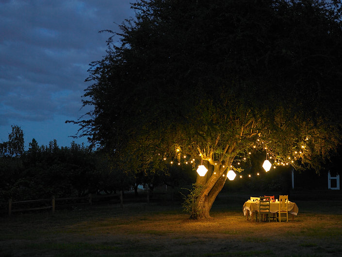 Outdoor Dinner