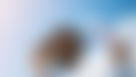 Parceria iTalents e AWS na Bússola & Cia do portal Exame.