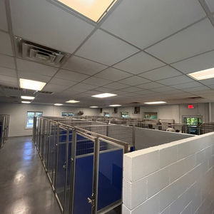 Animal Kennels and Facilities