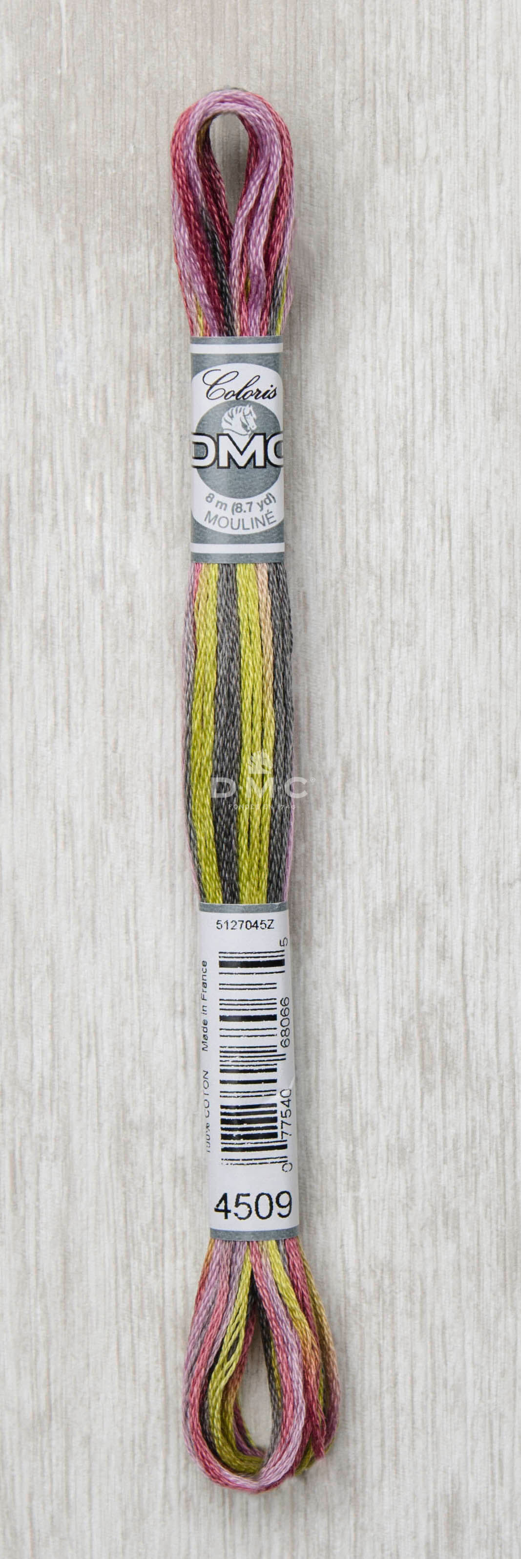 Fil à broder 4509 Côte de granit - Gamme Coloris 6 brins DMC