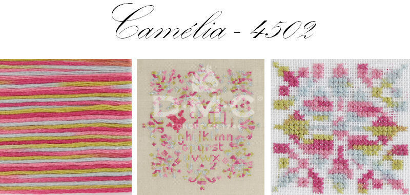Miniature : Fil à broder 4502 Camélia - Gamme Coloris 6 brins DMC