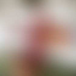 Wrap it with a bow, a bag, or a flour sack towel.