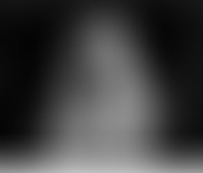 ALL THE SILVER LADIES...