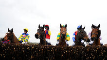 Cheltenham Festival Preview