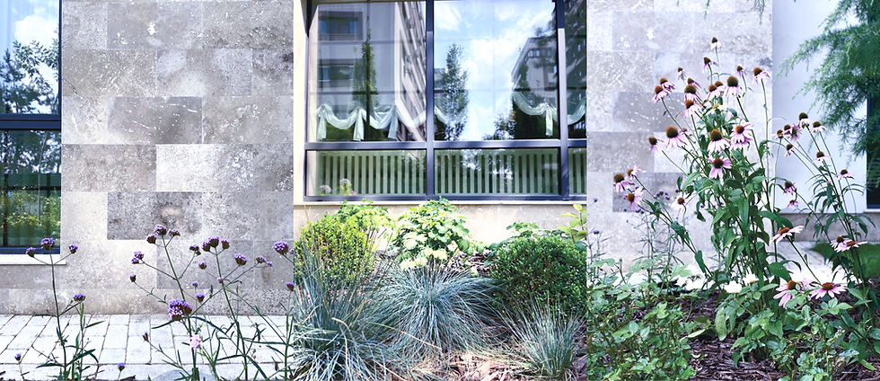 poza compusa site_edited.png