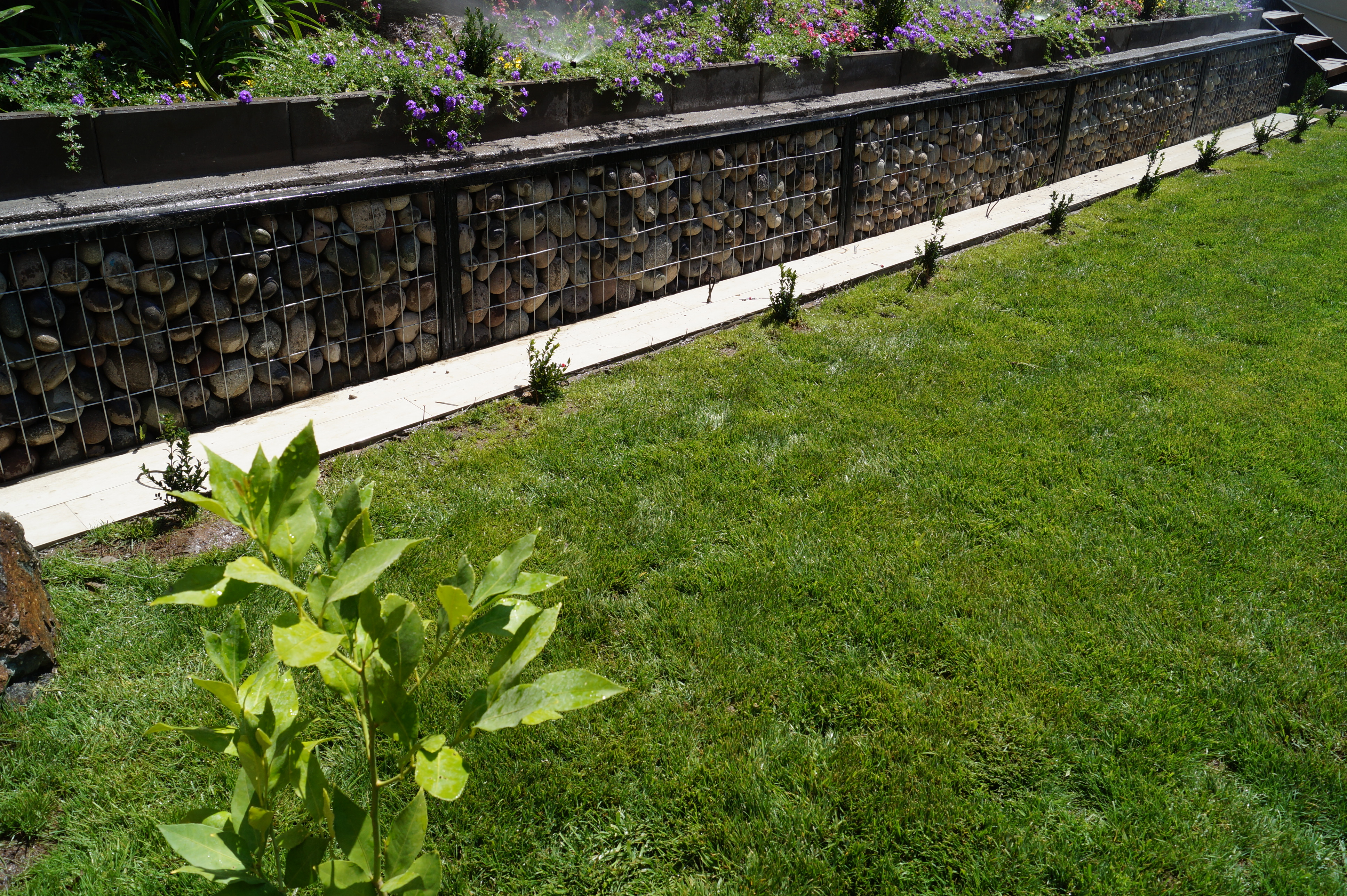 Diseño y Construccion de Patios