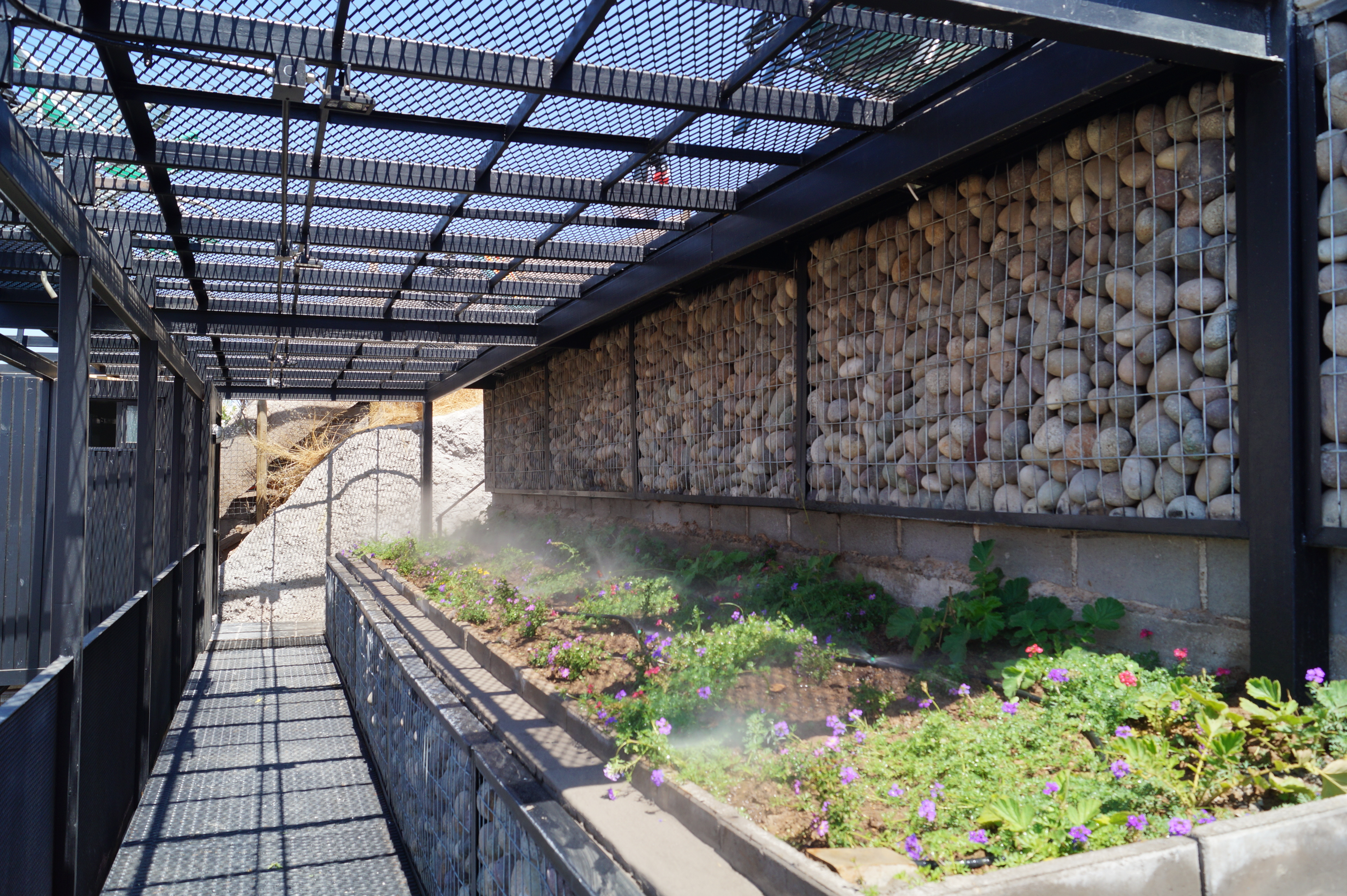 Diseño y Construccion de Patios