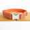 Thumbnail: Personalized Dog Collar Customized Pet Collars Free Engraving ID Nameplate Tag P