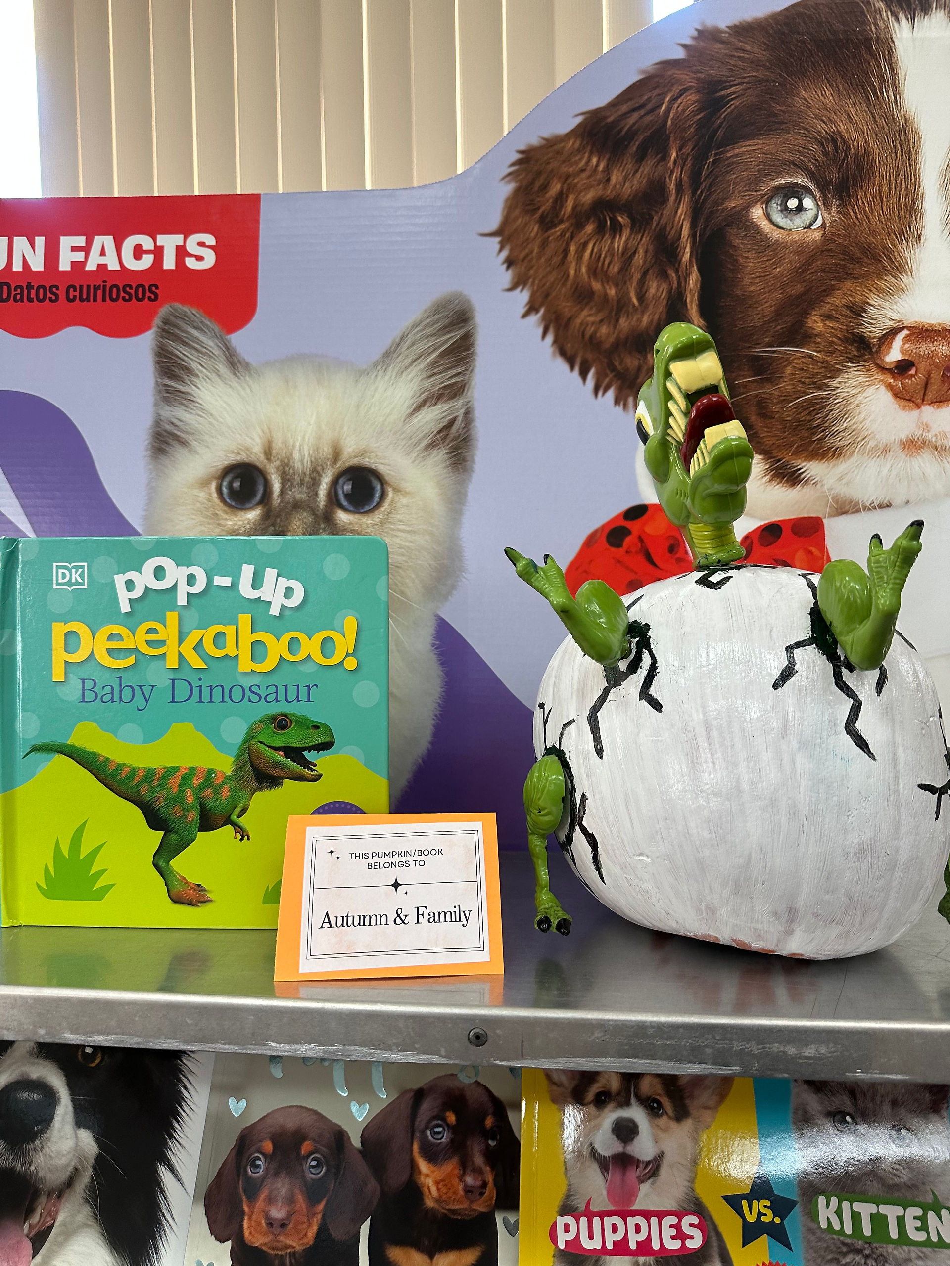 A dinosaur-themed pumpkin painted like a cracking egg with toy dinosaur limbs emerging sits beside the book Pop-Up Peekaboo! Baby Dinosaur at the Book Fair.