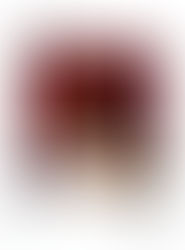 ♥ Tenir jusqu’à l’aube