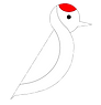 artis log (2)_translucent.png