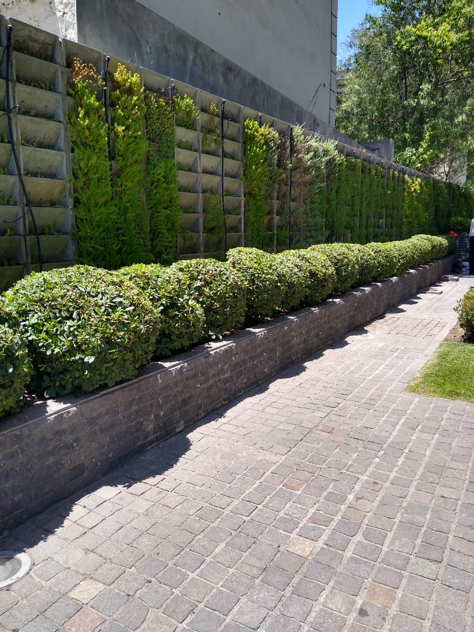 IMG-20191205-WA0008