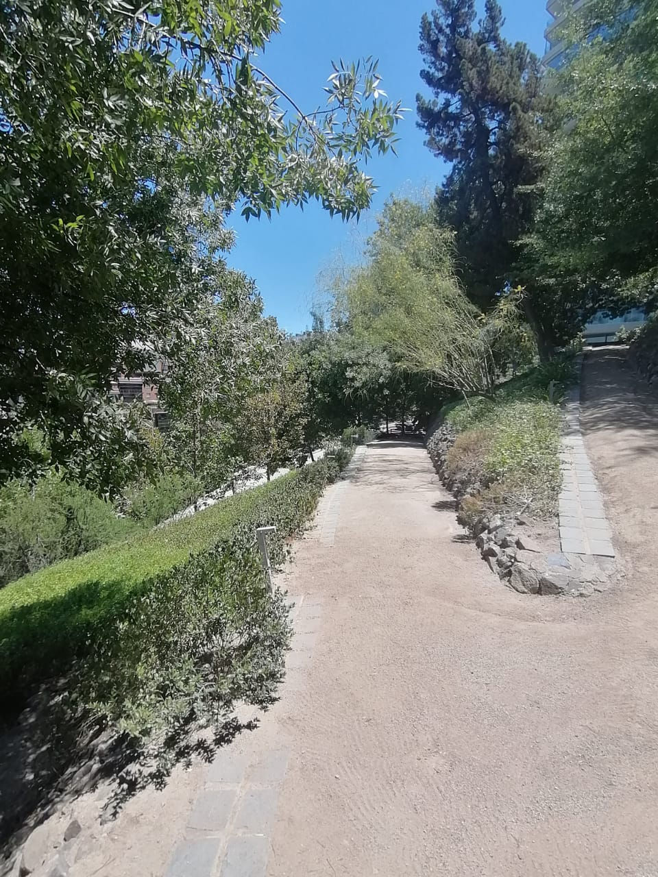 IMG-20210120-WA0052