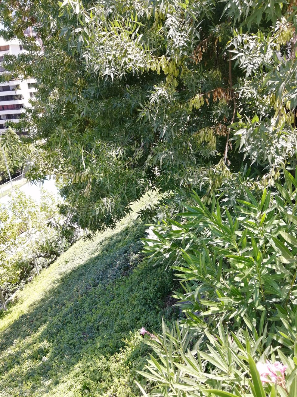 IMG-20210120-WA0051