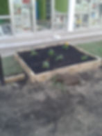 20140221_175136.jpg