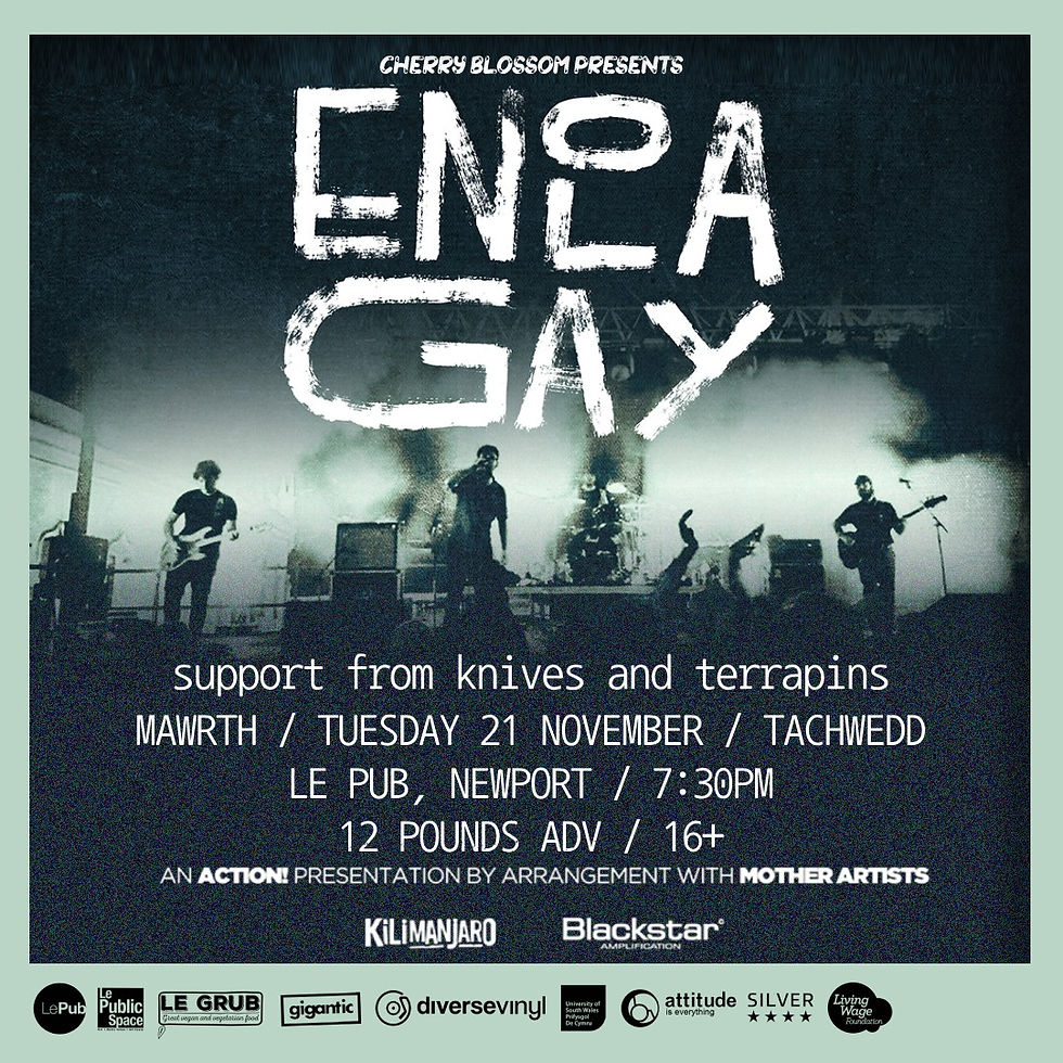 Enola Gay / Knives / Terrapins