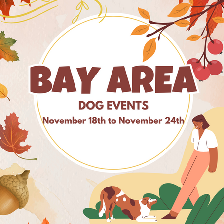 BAY AREA DOG EVENTS [November 18th to November 24th]