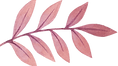 Pink Leaf Illustration_edited.png