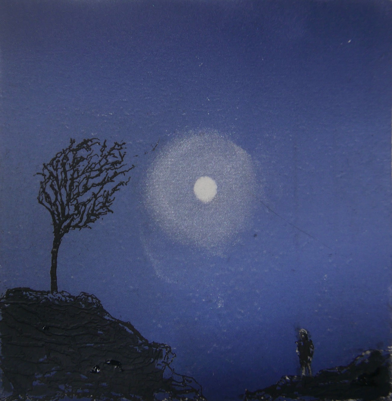 Peter Wareham  - A Moonlight Night