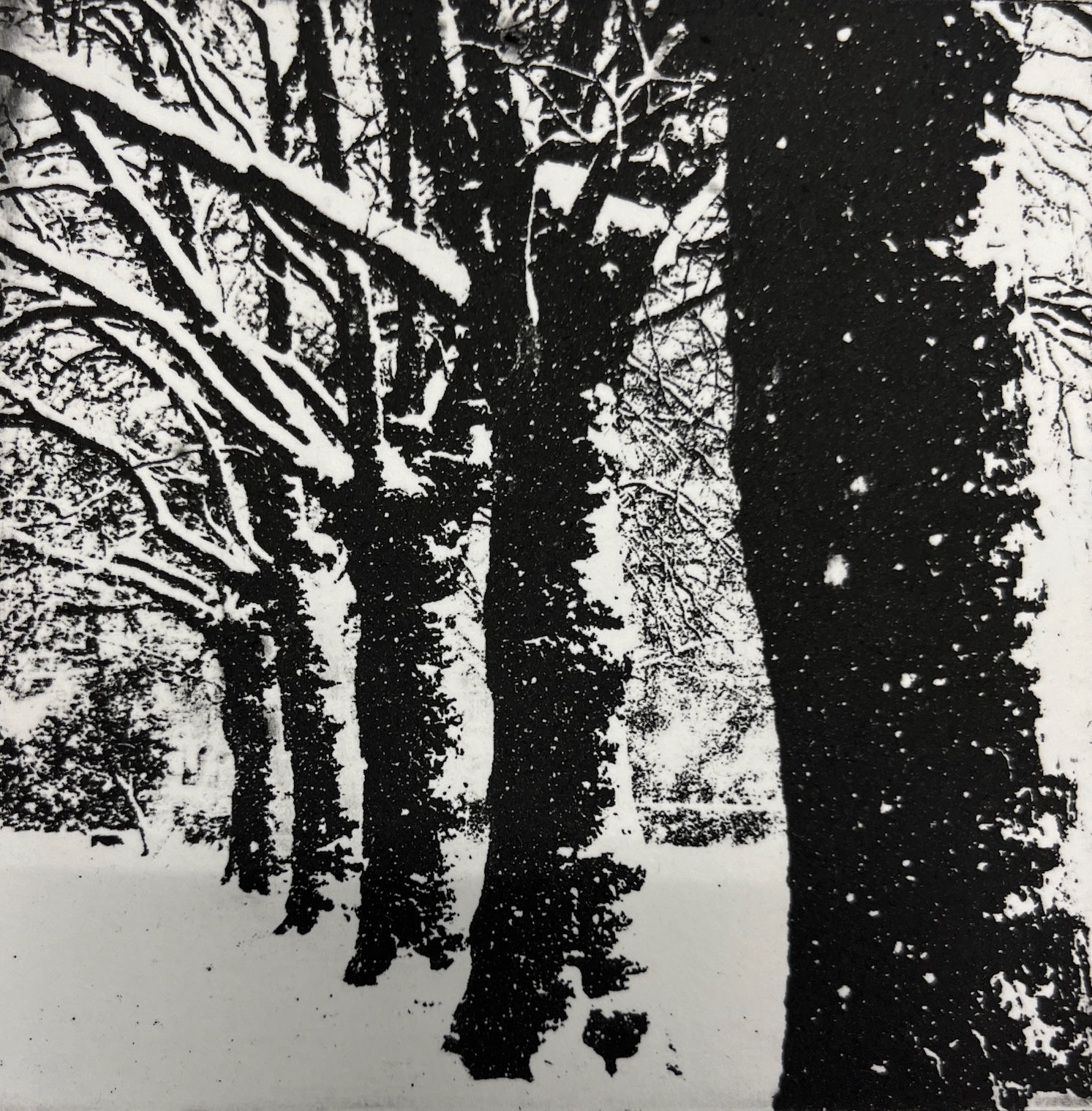 Teresa Schippel Hales - Silent