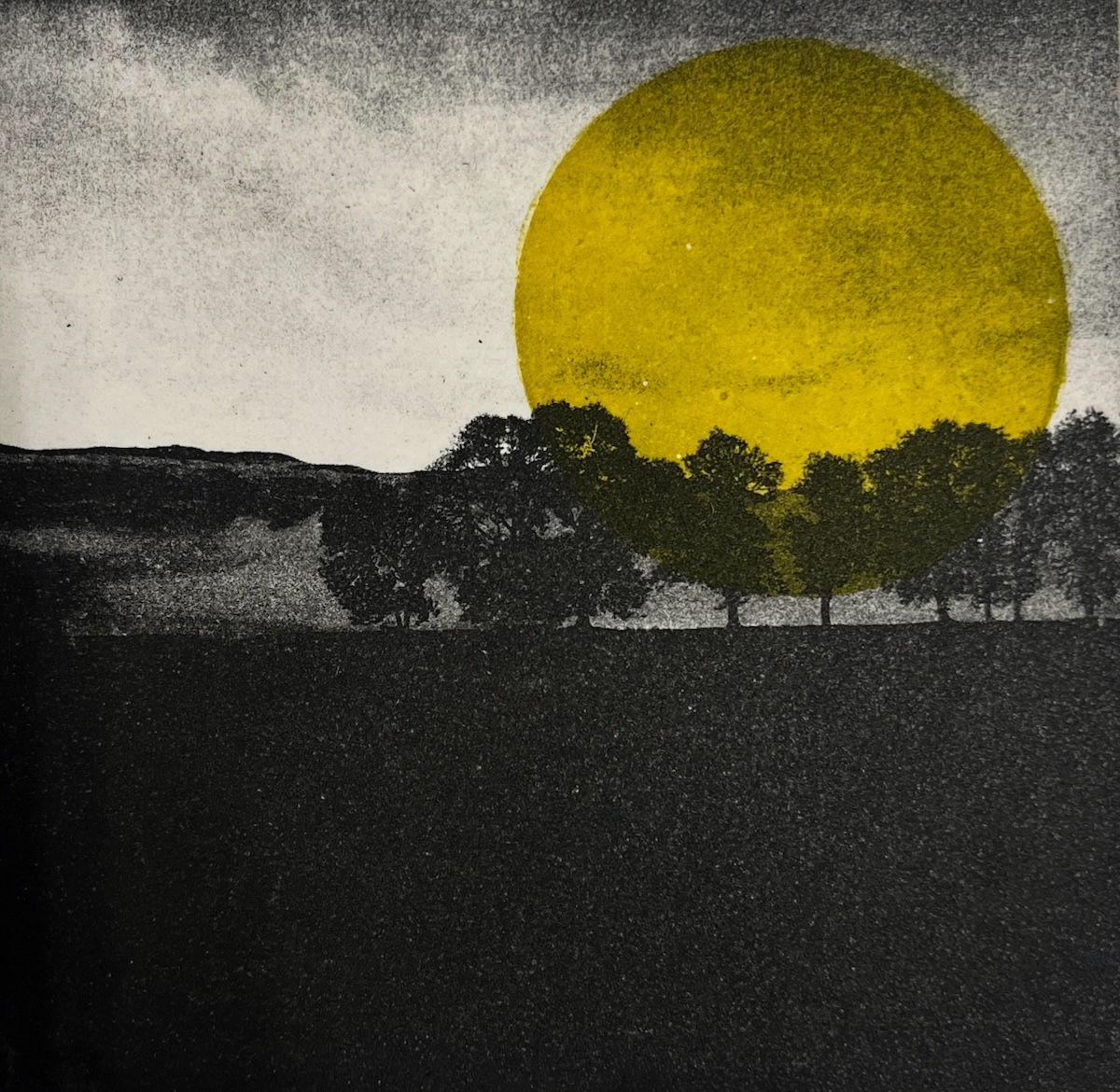 Teresa Schippel Hales - Loch