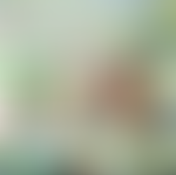 Preparing your business for a successful exit - Selling a business