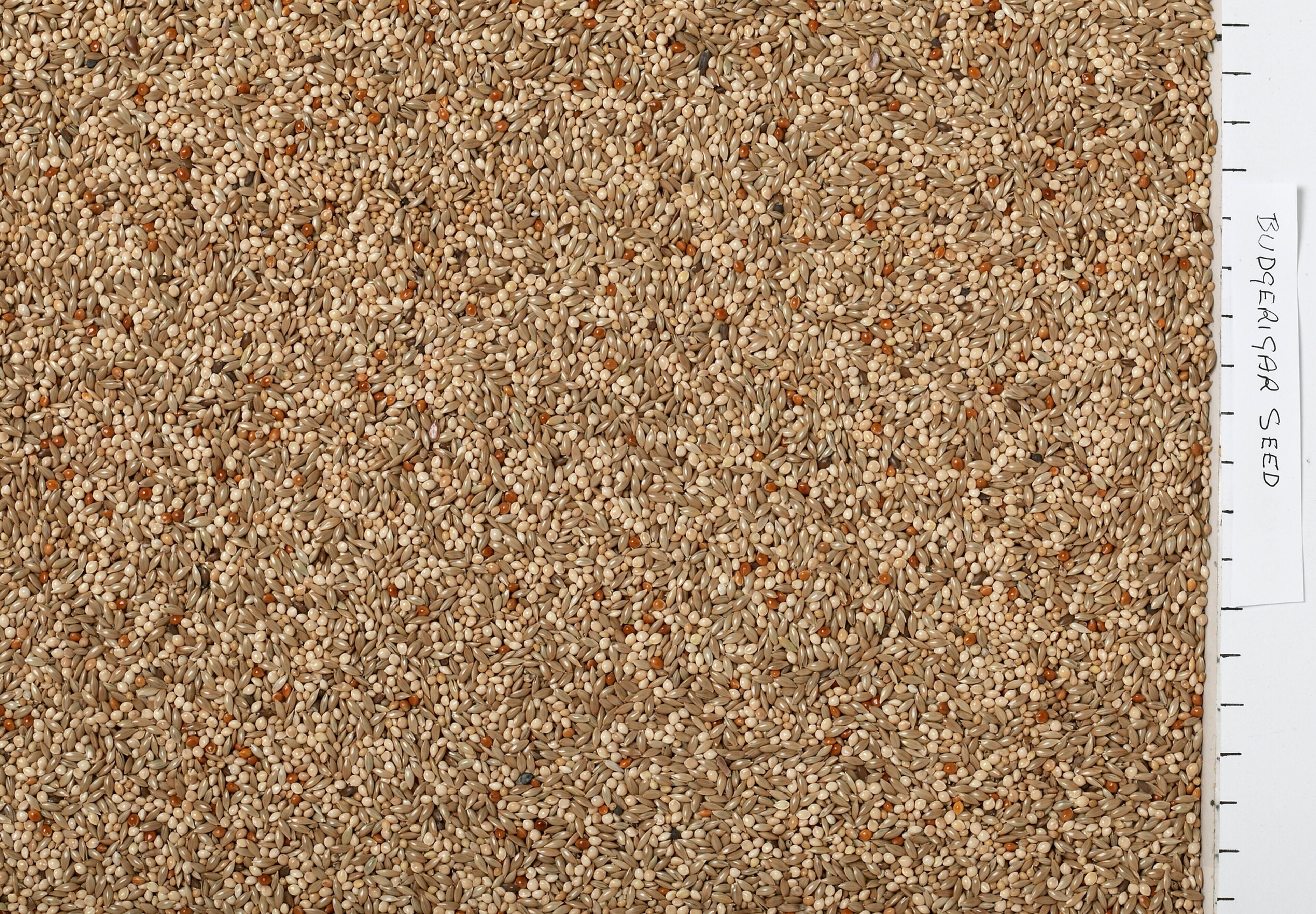 Johnston & Jeff Expert Budgie Seed 3kg