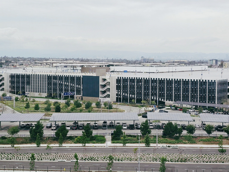 Georgia Passes Game-Changing Booting Reform to Protect Motorist