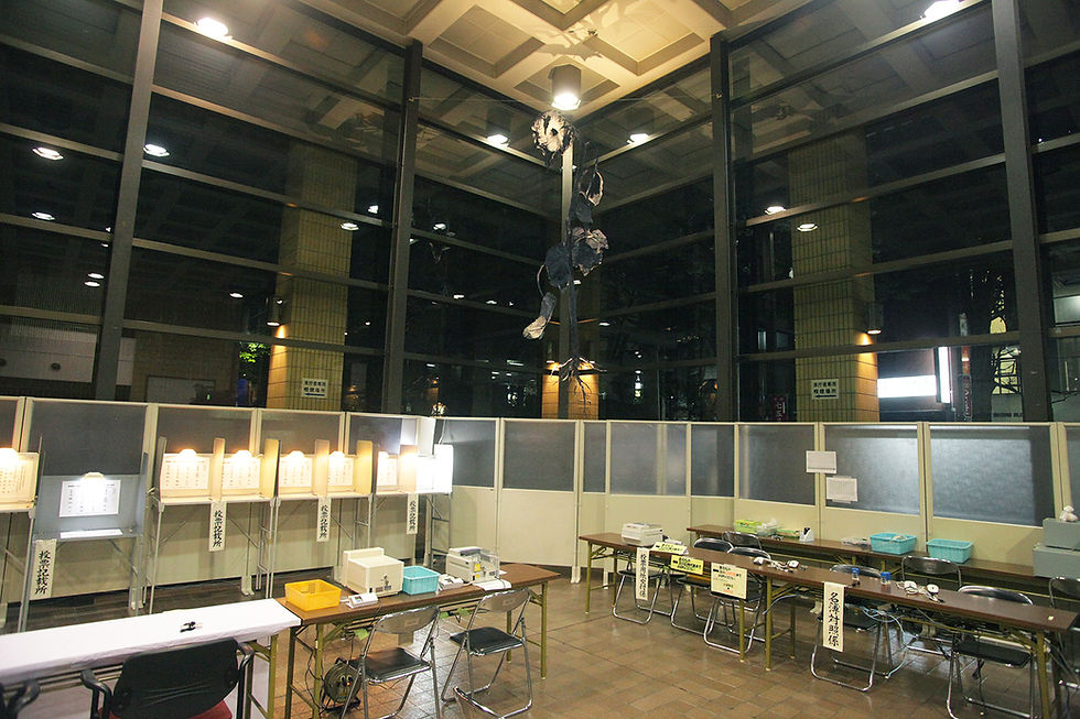 installation view