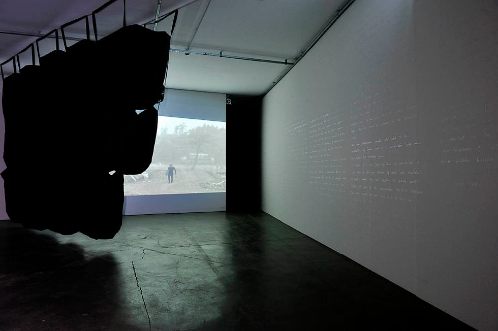installation view